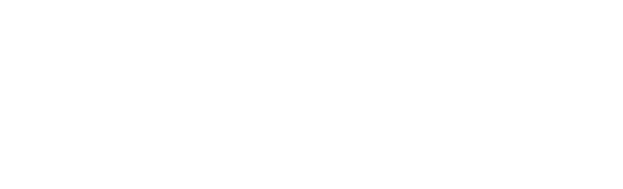 Mitsubishi Long